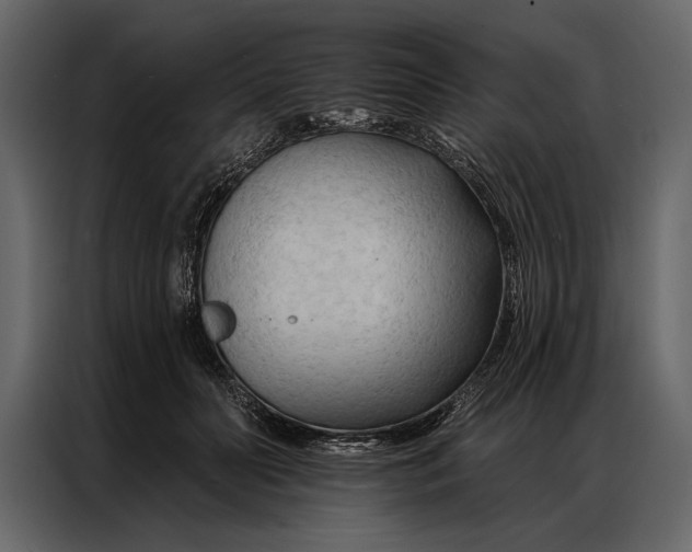 X0000087000606200705071507