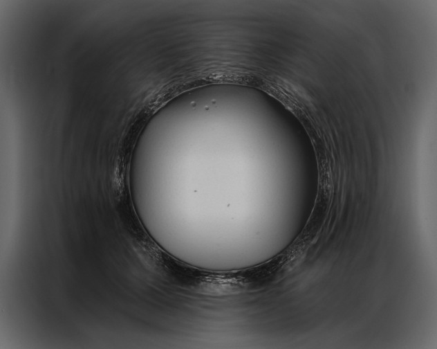 X0000087000607200705071507