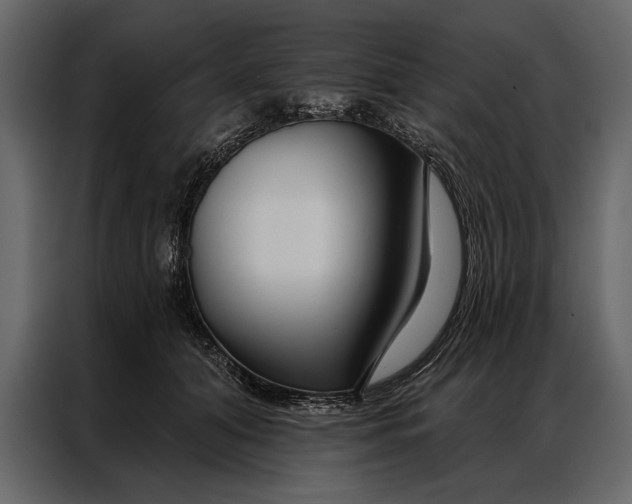 X0000087000608200705071507