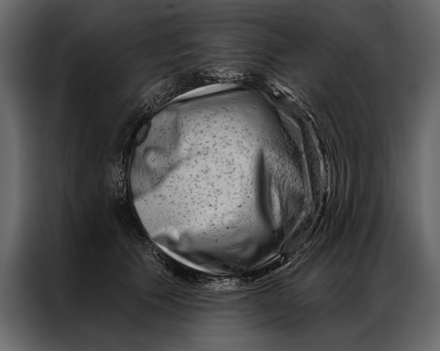 X0000087000609200705071507