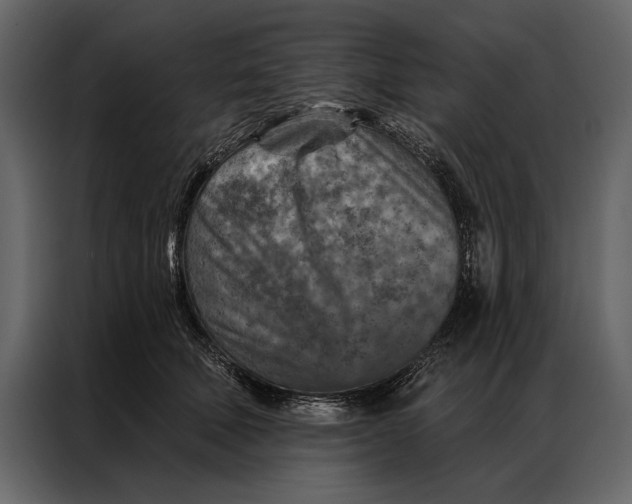 X0000087000610200705071507