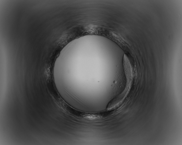 X0000087000611200705071507