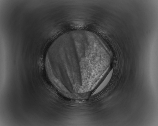 X0000087000612200705071507