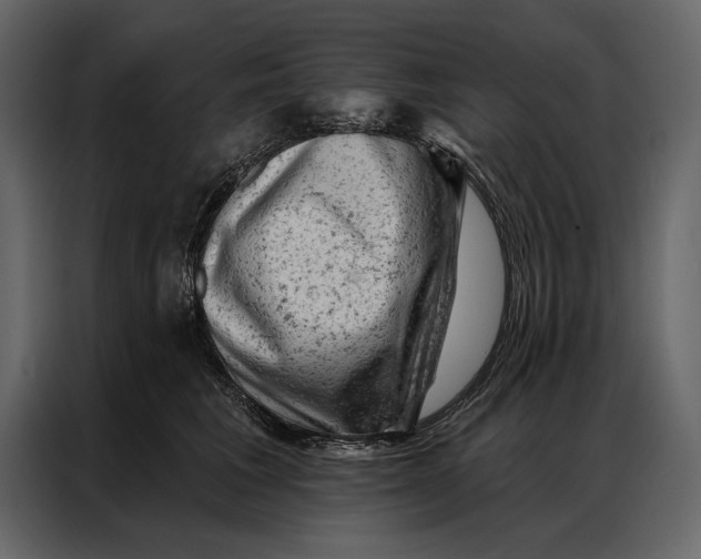 X0000087000613200705071507