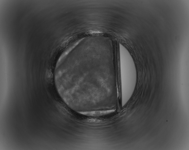 X0000087000614200705071507