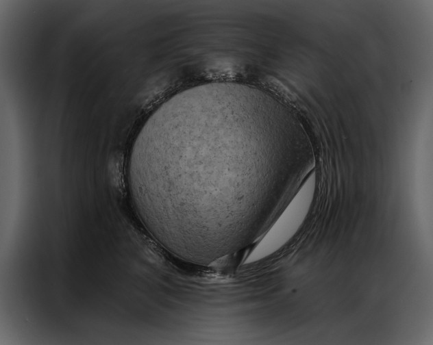 X0000087000616200705071507