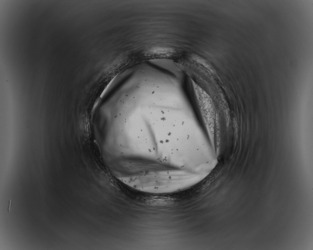 X0000087000617200705071507