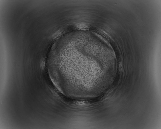 X0000087000618200705071507