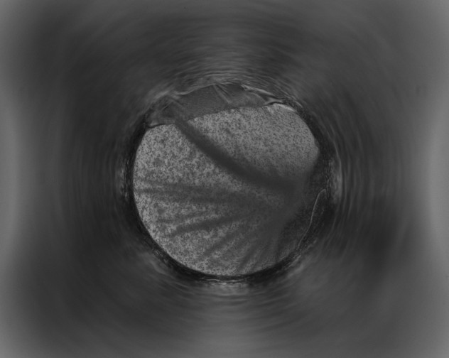 X0000087000619200705071507