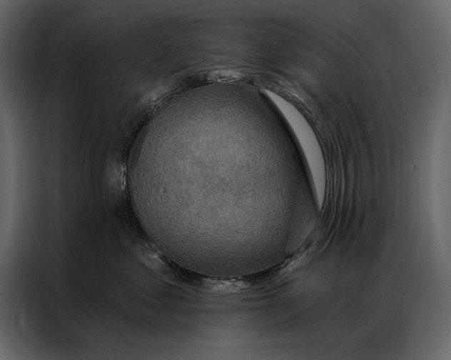 X0000087000621200705071507