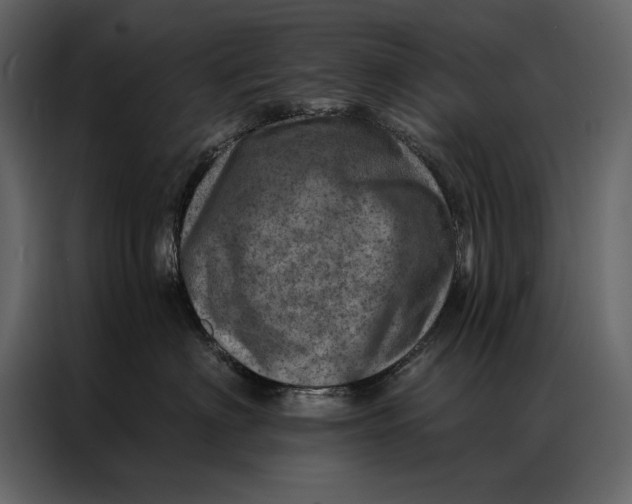 X0000087000622200705071507