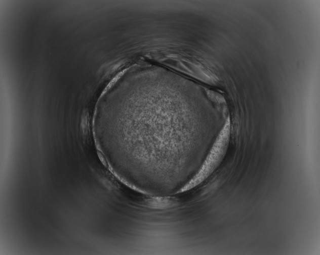 X0000087000623200705071507