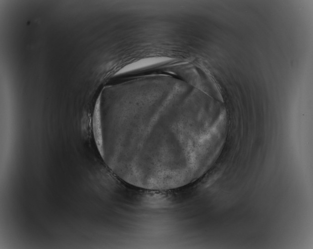 X0000087000624200705071507