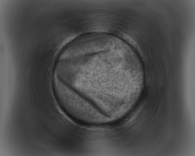 X0000087000625200705071506