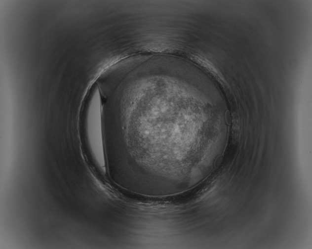 X0000087000626200705071506