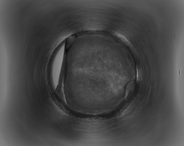 X0000087000627200705071506