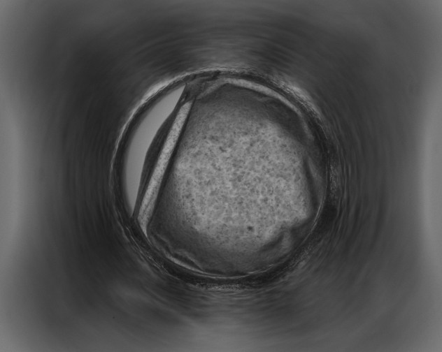 X0000087000628200705071506