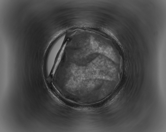 X0000087000629200705071506