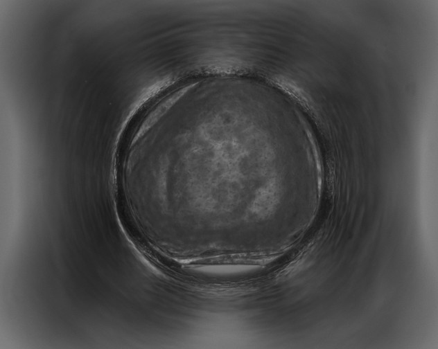 X0000087000630200705071506