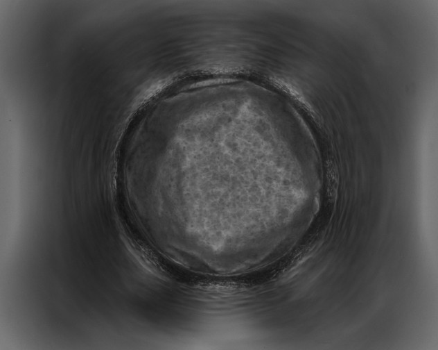 X0000087000631200705071506