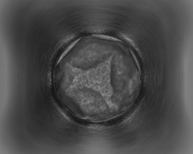 X0000087000633200705071507