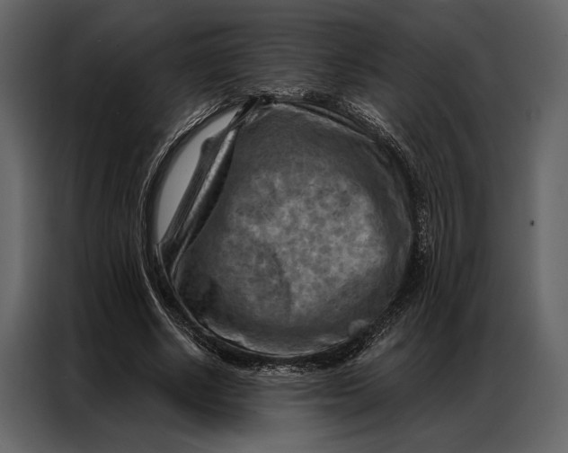 X0000087000634200705071507