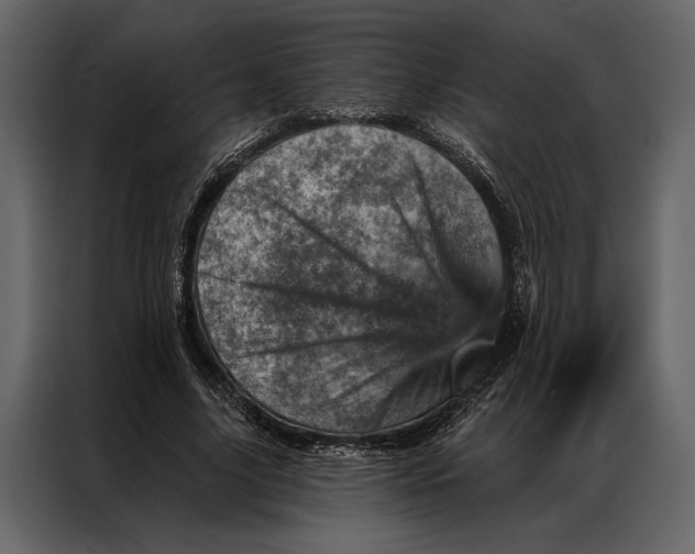 X0000087000635200705071507