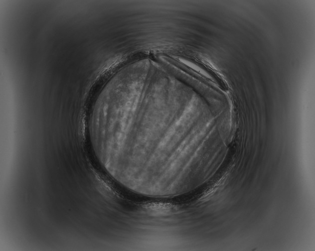 X0000087000637200705071507