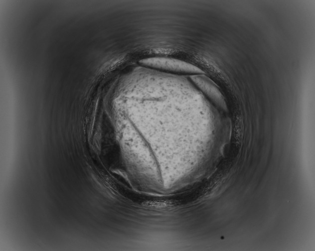 X0000087000639200705071507