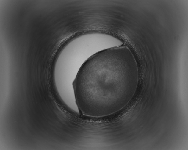 X0000087000640200705071507