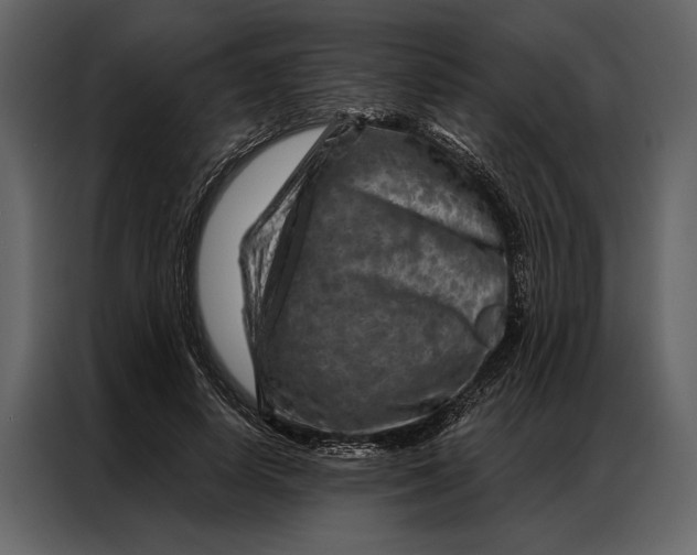 X0000087000642200705071507