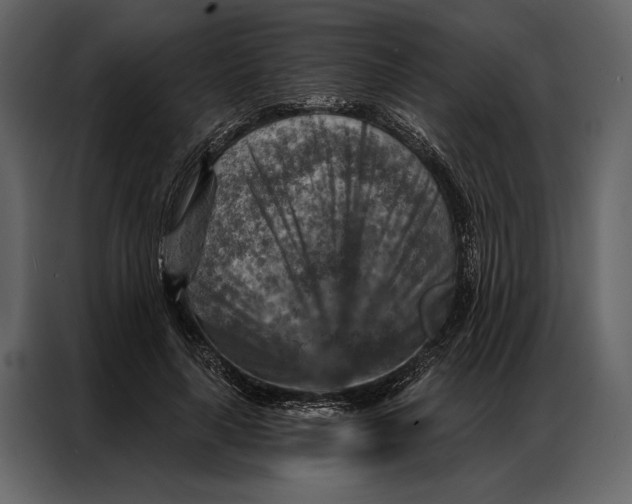 X0000087000643200705071507