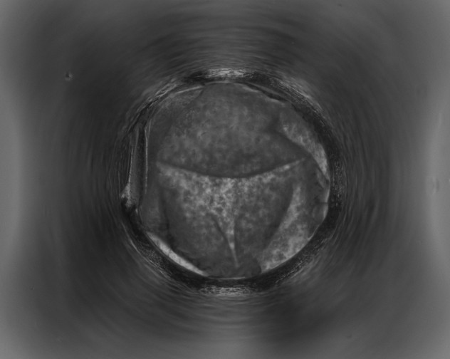 X0000087000645200705071507