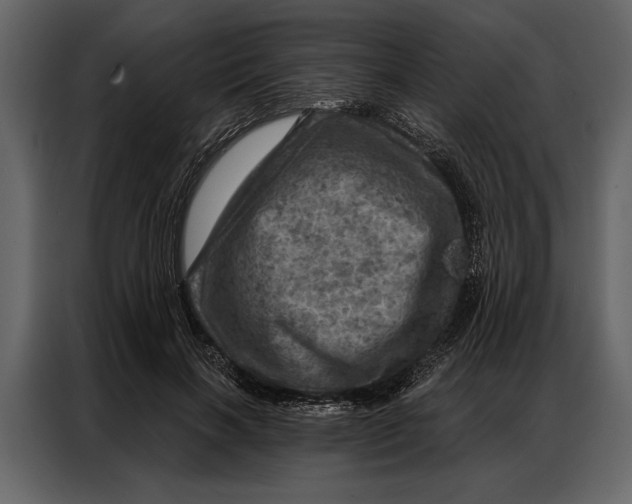 X0000087000646200705071507