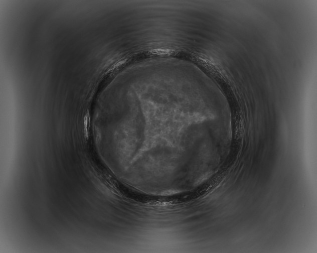 X0000087000647200705071507