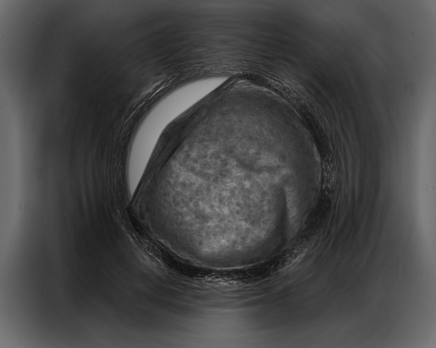 X0000087000648200705071507