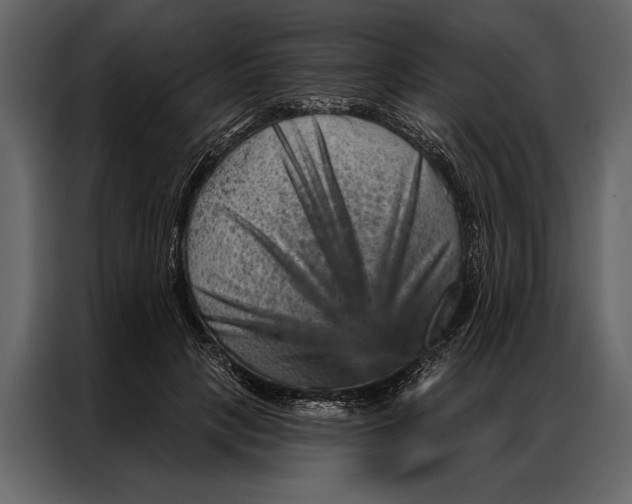 X0000087000649200705071507