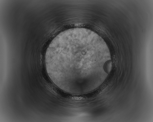 X0000087000650200705071507