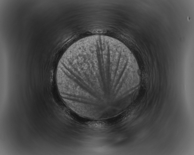 X0000087000652200705071507