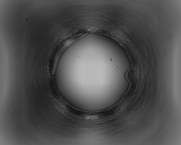 X0000087000653200705071507