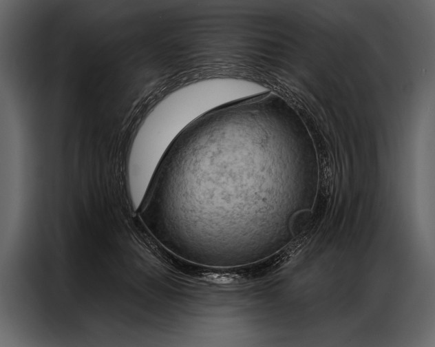 X0000087000654200705071507