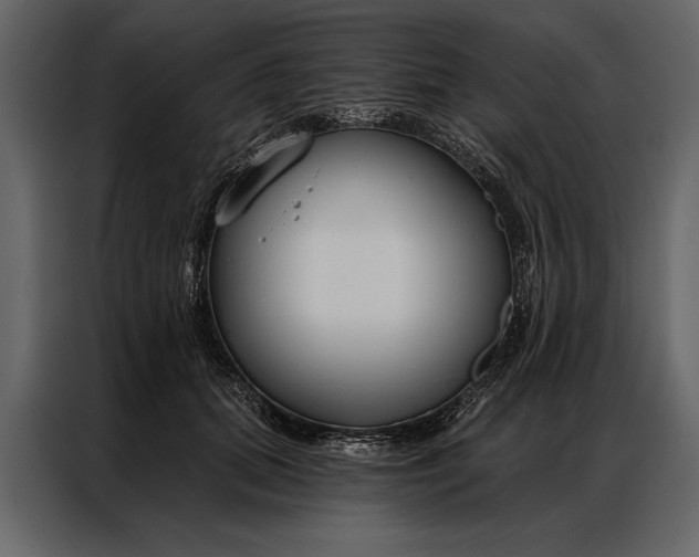 X0000087000655200705071507