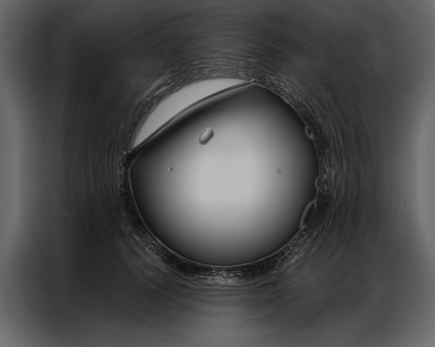 X0000087000656200705071507