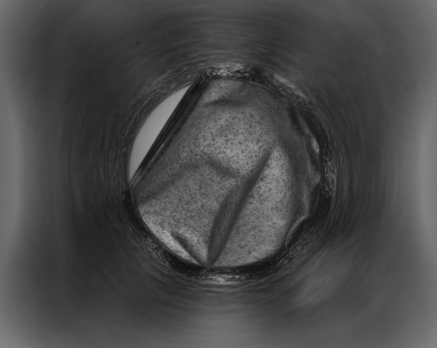 X0000087000657200705071507