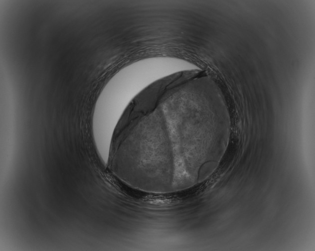 X0000087000658200705071507