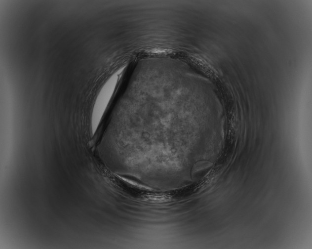 X0000087000659200705071507