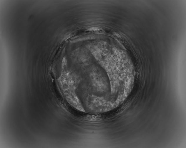 X0000087000660200705071507