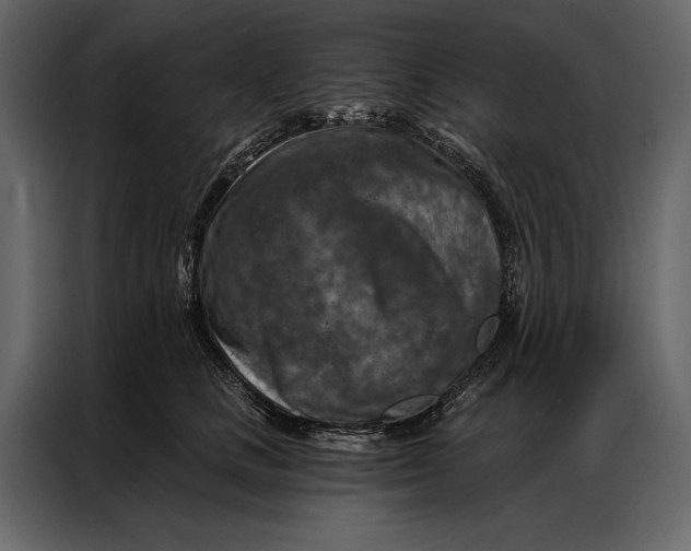 X0000087000661200705071507