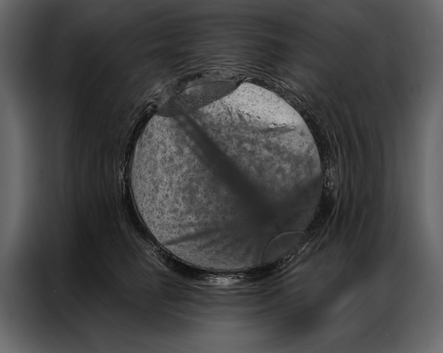 X0000087000662200705071507