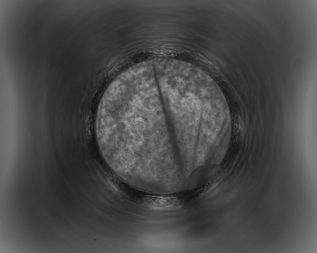 X0000087000663200705071507